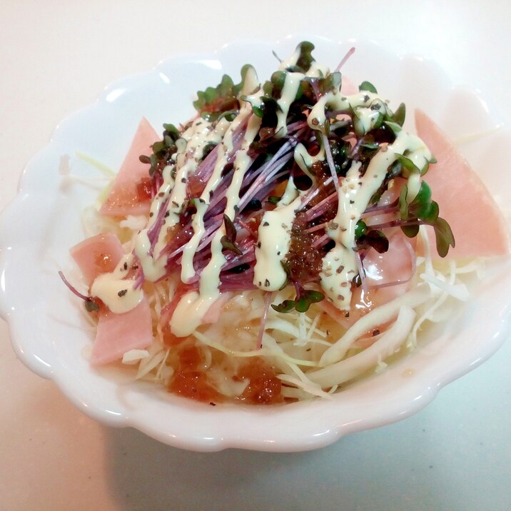 キャベツ ハム レッドキャベツスプラウトのサラダ レシピ 作り方 By ぷ みぃまま 楽天レシピ キャベツ ハム レッドキャベツスプラウトのサラダ レシピ 作り方 By ぷ みぃまま 楽天レシピ